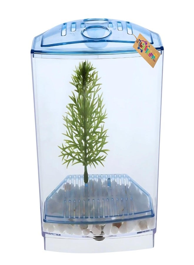 Western Era Betta Tank - Minimalist Aquatic Home for Betta Companions, Perfect for Peaceful Observation, Easy Upkeep, & Serene Interior Styling with a Compact Safe Living Space for Small Aquarium Fish - Image 1